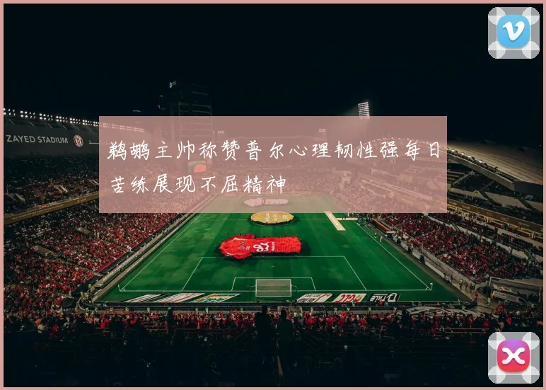 鹈鹕主帅称赞普尔心理韧性强每日苦练展现不屈精神