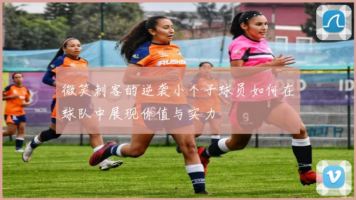 微笑刺客的逆袭小个子球员如何在球队中展现价值与实力